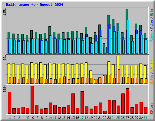 Daily usage for August 2024