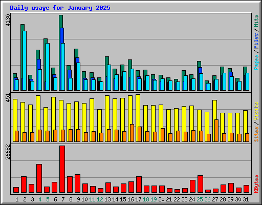 Daily usage for January 2025