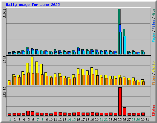 Daily usage for June 2025