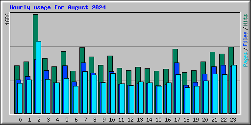 Hourly usage for August 2024