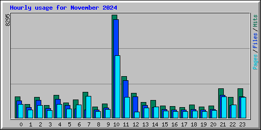 Hourly usage for November 2024