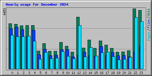 Hourly usage for December 2024