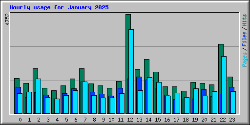 Hourly usage for January 2025