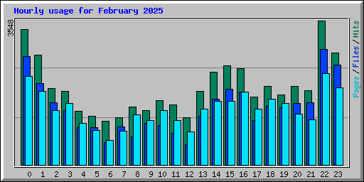 Hourly usage for February 2025