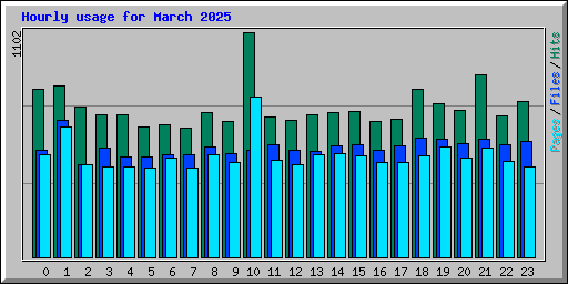 Hourly usage for March 2025