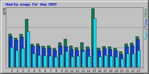 Hourly usage for May 2025