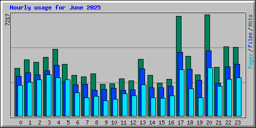 Hourly usage for June 2025