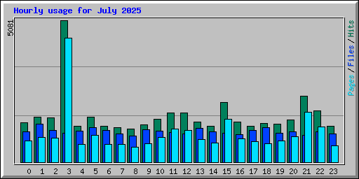 Hourly usage for July 2025